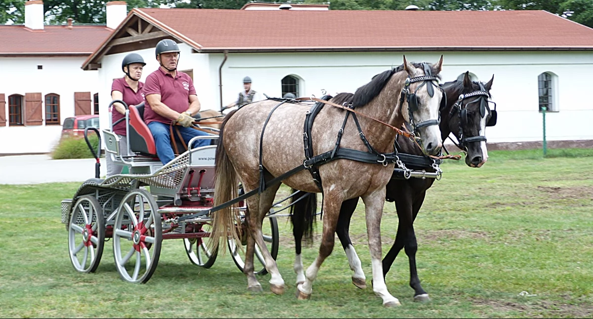 Inwestycje, Dofinansowali obiekty sportowe - zdjęcie, fotografia