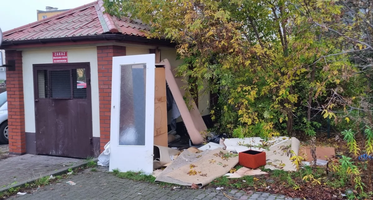Interwencje, porzucaniu odpadów wielkogabarytowych - zdjęcie, fotografia