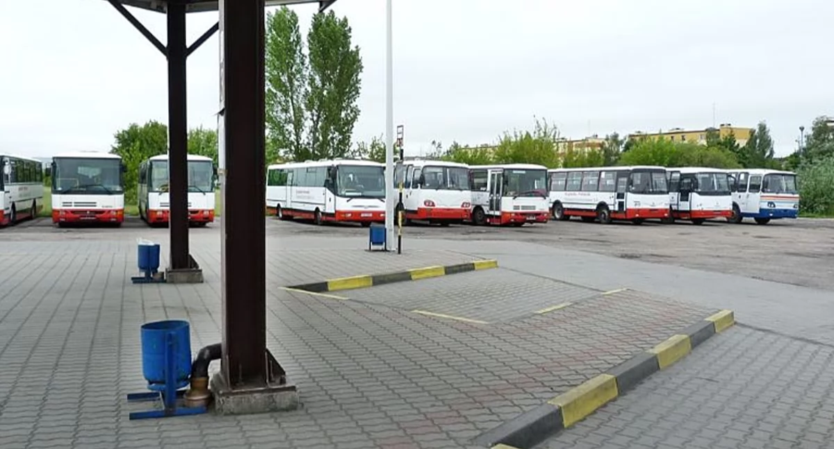 Samorząd powiatowy, Wszystkie autobusy zostają - zdjęcie, fotografia