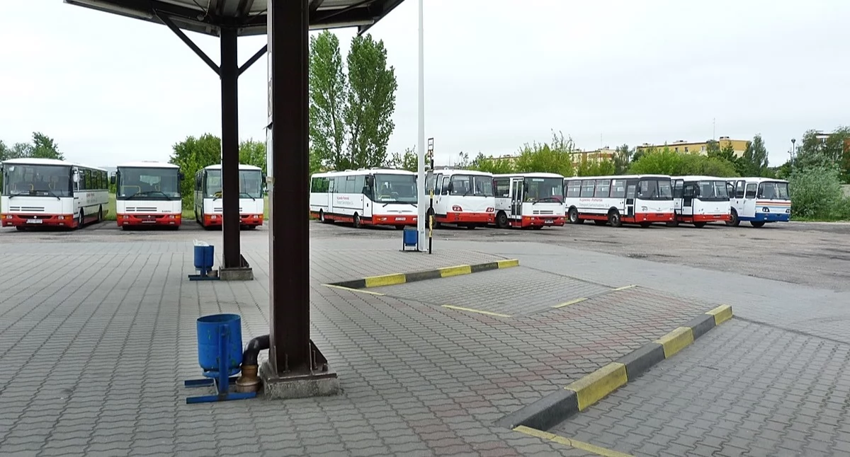 Samorząd powiatowy, Linie tylko powiatowe - zdjęcie, fotografia