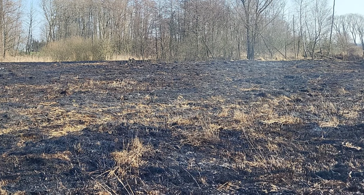 Pożary, pożarom - zdjęcie, fotografia