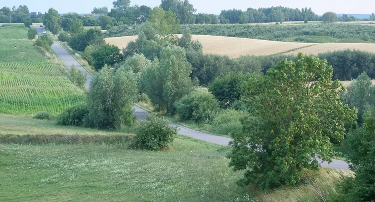 Samorząd gminny, Zadbają zazielenienie gminy - zdjęcie, fotografia
