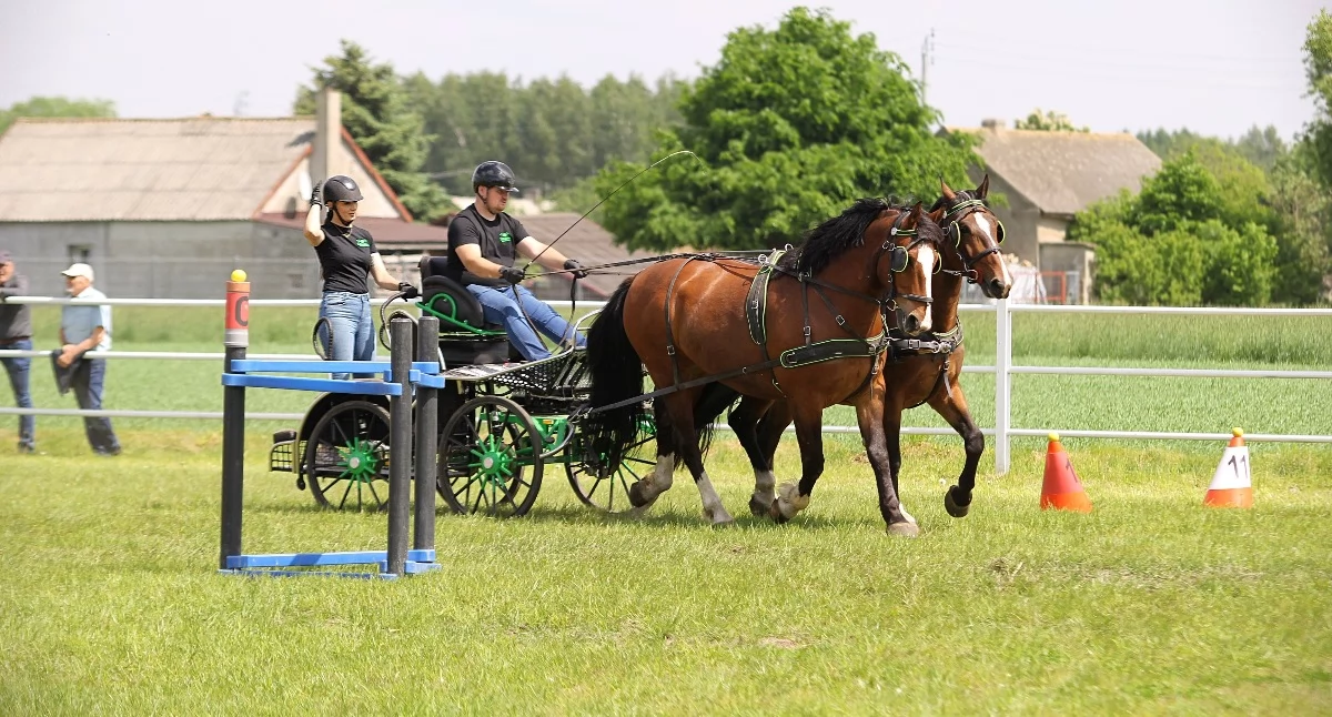 Wydarzenia lokalne, Konie pasja sportowe emocje - zdjęcie, fotografia