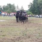 zdjęcie nr 45