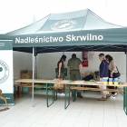 zdjęcie nr 29