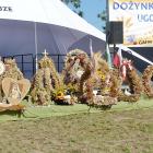 zdjęcie nr 96