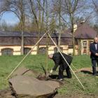 zdjęcie nr 13