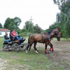 zdjęcie nr 11