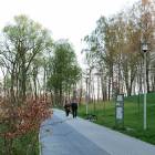 zdjęcie nr 43