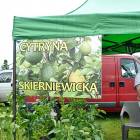 zdjęcie nr 30