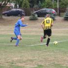 Fotka nr 1 z 14