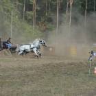 Fotka nr 5 z 36