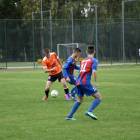 zdjęcie nr 16