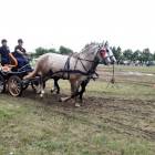zdjęcie nr 55