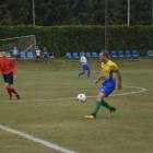 zdjęcie nr 8
