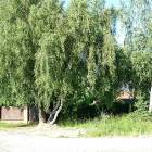 zdjęcie nr 13