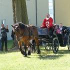 zdjęcie nr 12
