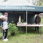 zdjęcie nr 8