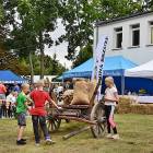zdjęcie nr 164
