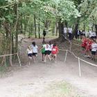 zdjęcie nr 16
