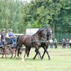 zdjęcie nr 41