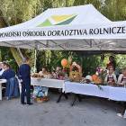 zdjęcie nr 33