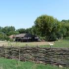 zdjęcie nr 19