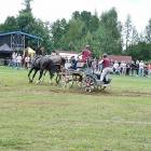 zdjęcie nr 7