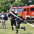 zdjęcie nr 31