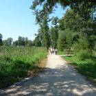 zdjęcie nr 75