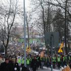 zdjęcie nr 32