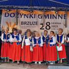 zdjęcie nr 261