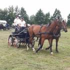 zdjęcie nr 9