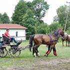 zdjęcie nr 19