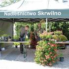 zdjęcie nr 28