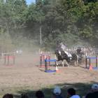zdjęcie nr 7