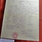 zdjęcie nr 13