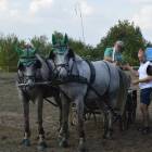 zdjęcie nr 18