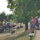 zdjęcie nr 59