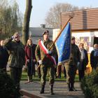 zdjęcie nr 15