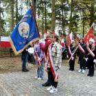 zdjęcie nr 21