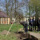 zdjęcie nr 14
