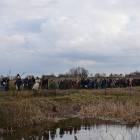zdjęcie nr 59