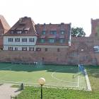 zdjęcie nr 137