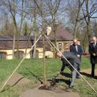 zdjęcie nr 7