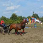 zdjęcie nr 30
