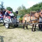 zdjęcie nr 54