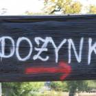 zdjęcie nr 64