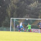 zdjęcie nr 42