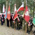zdjęcie nr 31